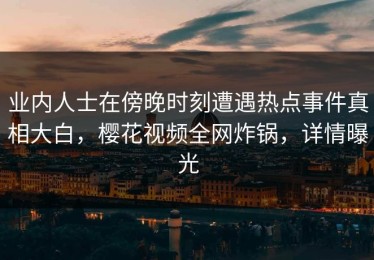 业内人士在傍晚时刻遭遇热点事件真相大白，樱花视频全网炸锅，详情曝光
