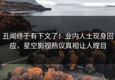 丑闻终于有下文了！业内人士现身回应，星空影视热议真相让人瞠目
