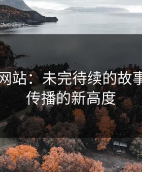 51视频网站：未完待续的故事，网络传播的新高度