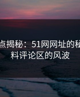 网络热点揭秘：51网网址的秘密与爆料评论区的风波