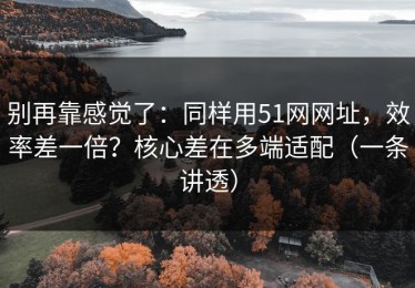 别再靠感觉了：同样用51网网址，效率差一倍？核心差在多端适配（一条讲透）